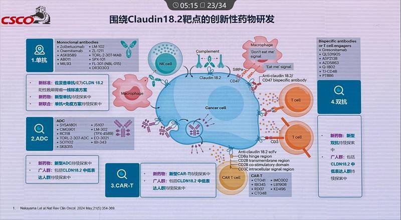 围绕Claudin18.2靶点的创新性药物研发 围绕Claudin18.2靶点的创新性药物研发