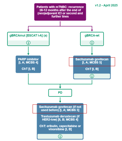 图1《ESMO Living Guideline v1.2》推荐mTNBC治疗路径（[新]辅助治疗结束后6-12个月内或≥二线复发）.png