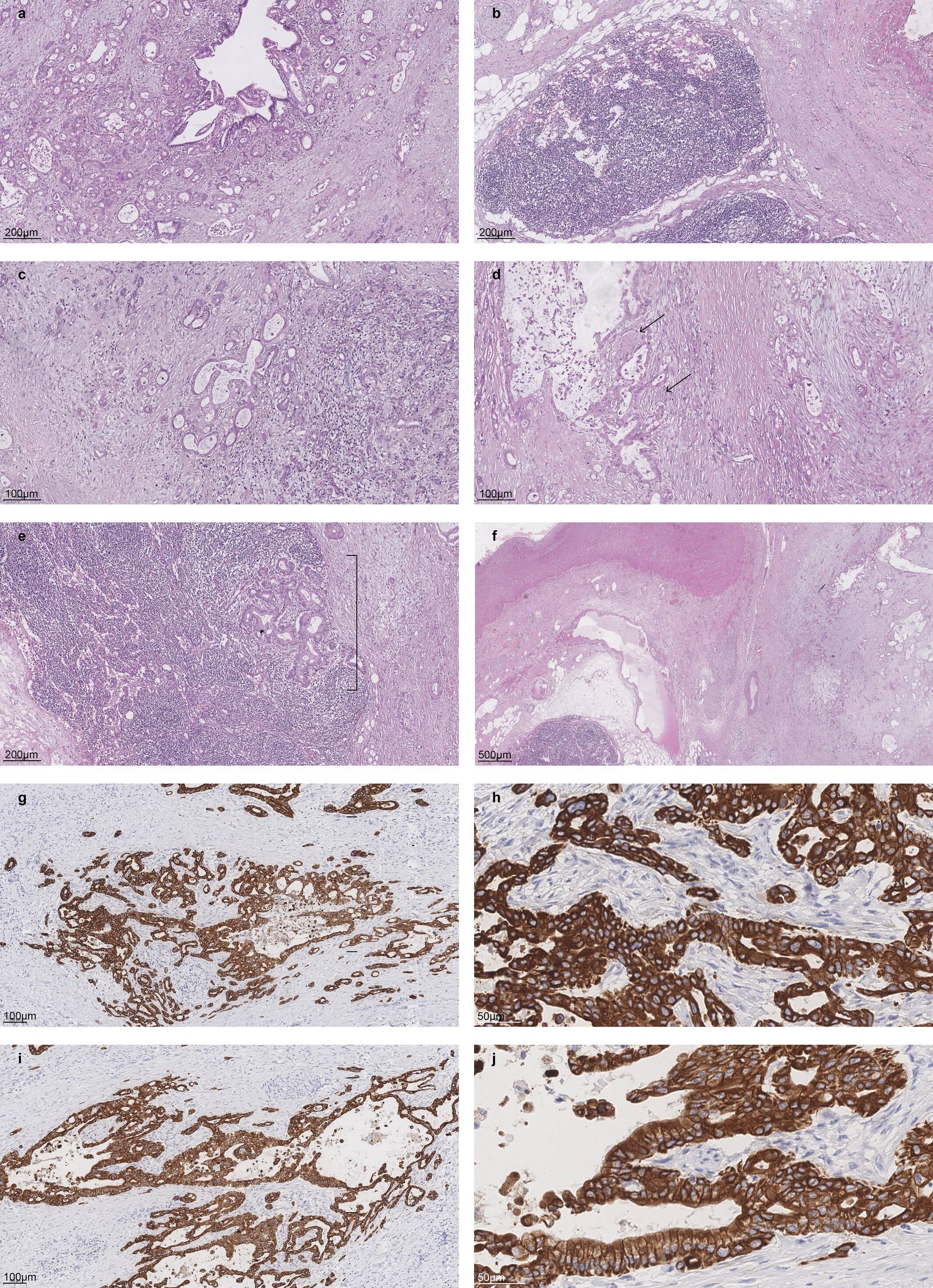 cnr270595-fig-0004-m.jpg