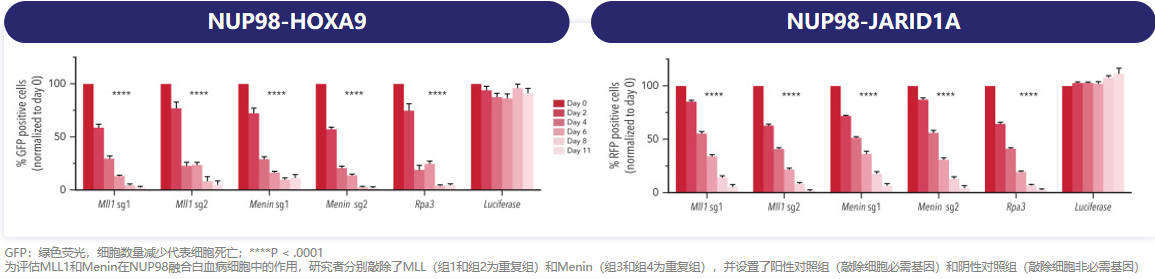 微信图片_20260526112743_72_12.png 微信图片_20260526112743_72_12.png