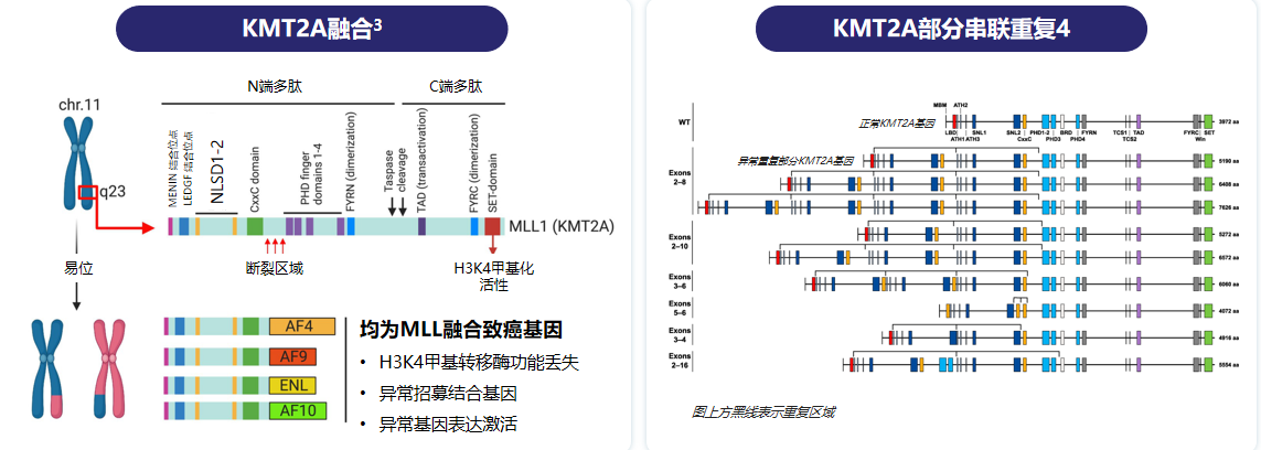 微信图片_20260526112433_69_12.png 微信图片_20260526112433_69_12.png