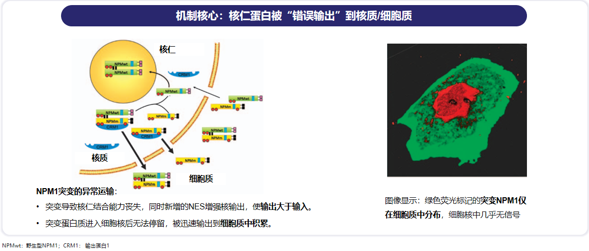 微信图片_20260526112921_74_12.png 微信图片_20260526112921_74_12.png