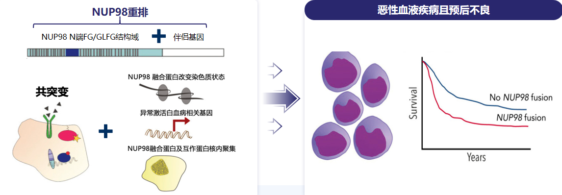 微信图片_20260526112640_71_12.png 微信图片_20260526112640_71_12.png