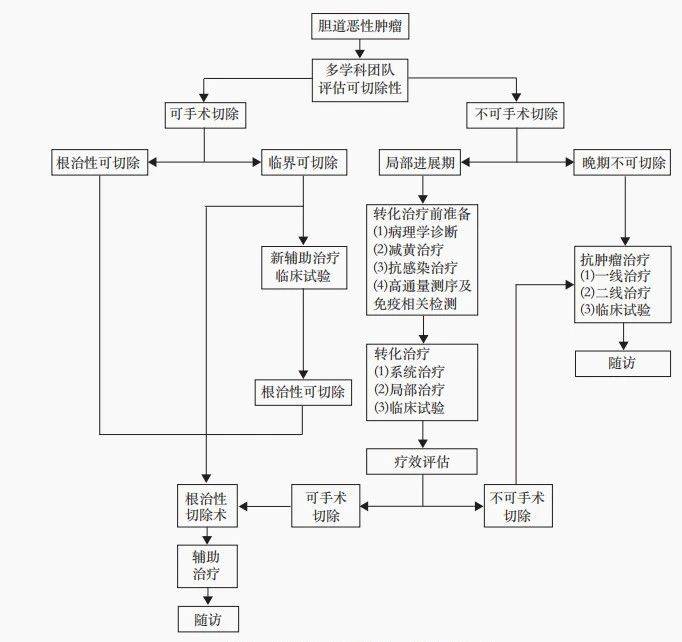 图. 胆道恶性肿瘤转化治疗的流程图.jpg
