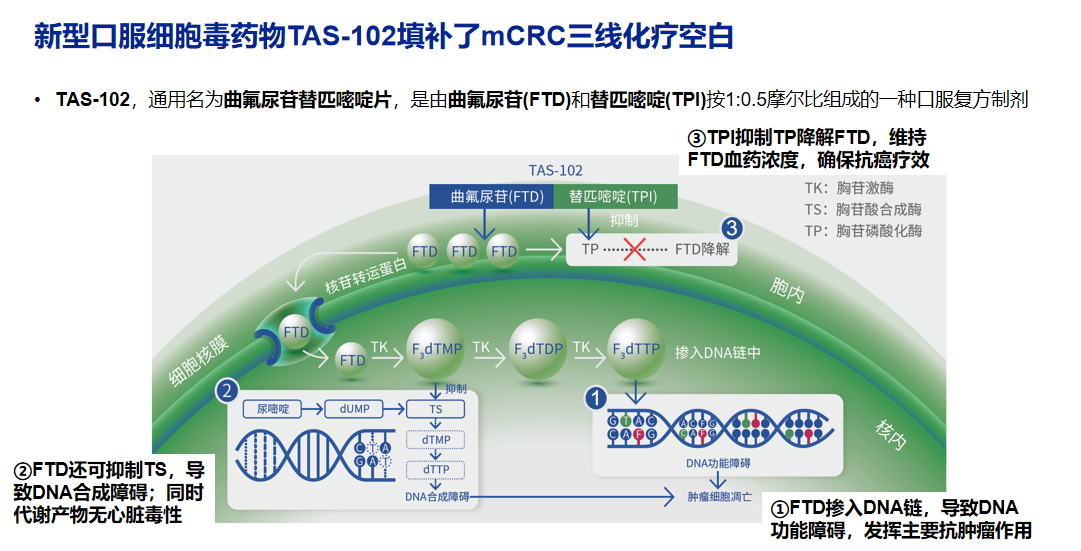 图1. TAS-102机制图.png 图1. TAS-102机制图.png