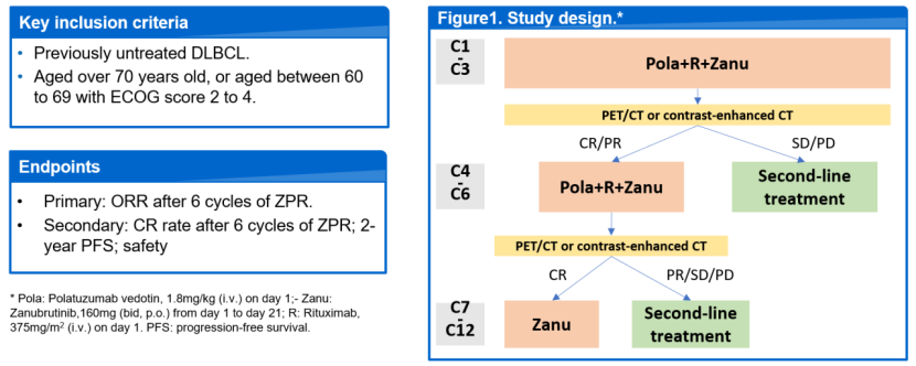 1217【2023 ASH】刘澎教授、任雨虹教授：曙光已现—Pola-ZR方案助力老年虚弱DLBCL患者打破生存困境(1)978.png