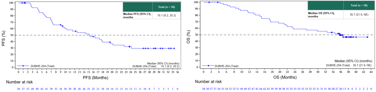 图 DUBHE-C-204研究的PFS和OS结果.png