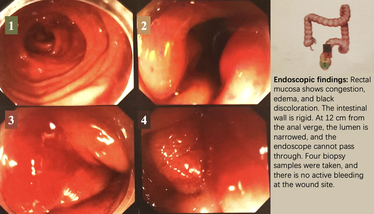 图片3.png 图片3.png