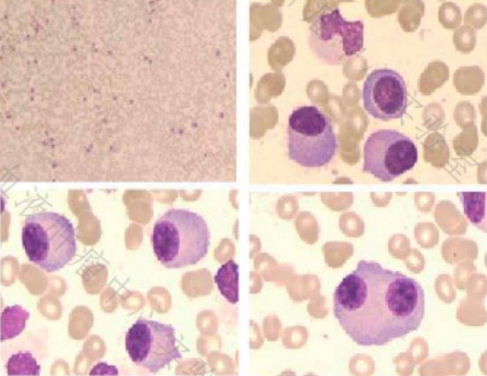 图片2.jpg 图片2.jpg