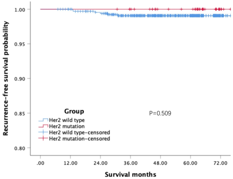 图1 不同HER2突变状态患者DFS生存曲线对比.png