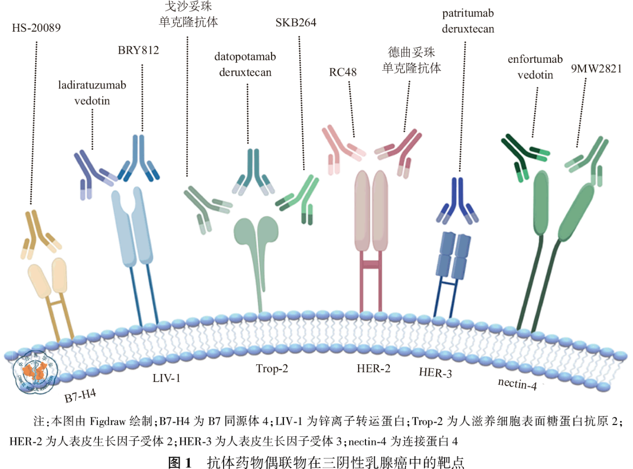 微信图片_20240724174617.png