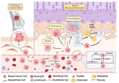 屏幕截图_28-2-2026_16195_pmc.ncbi.nlm.nih.gov.jpeg 屏幕截图_28-2-2026_16195_pmc.ncbi.nlm.nih.gov.jpeg