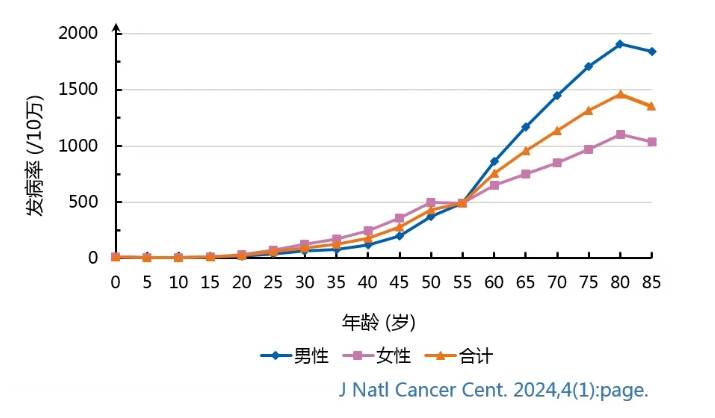 20250814-133439.jpg