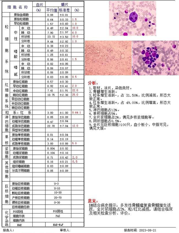 image003.png