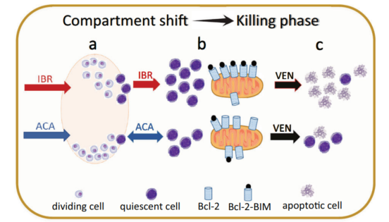 图片16.png 图片16.png