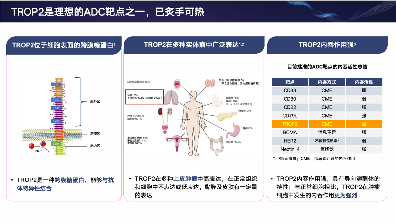 屏幕截图 2025-06-26 235647.png