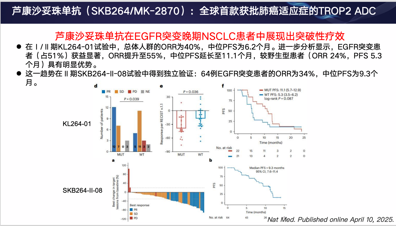 屏幕截图 2025-06-26 235818.png