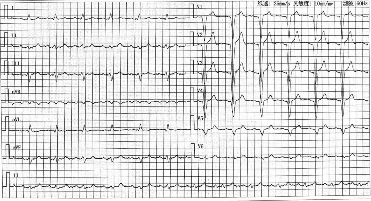 image005.jpg image005.jpg