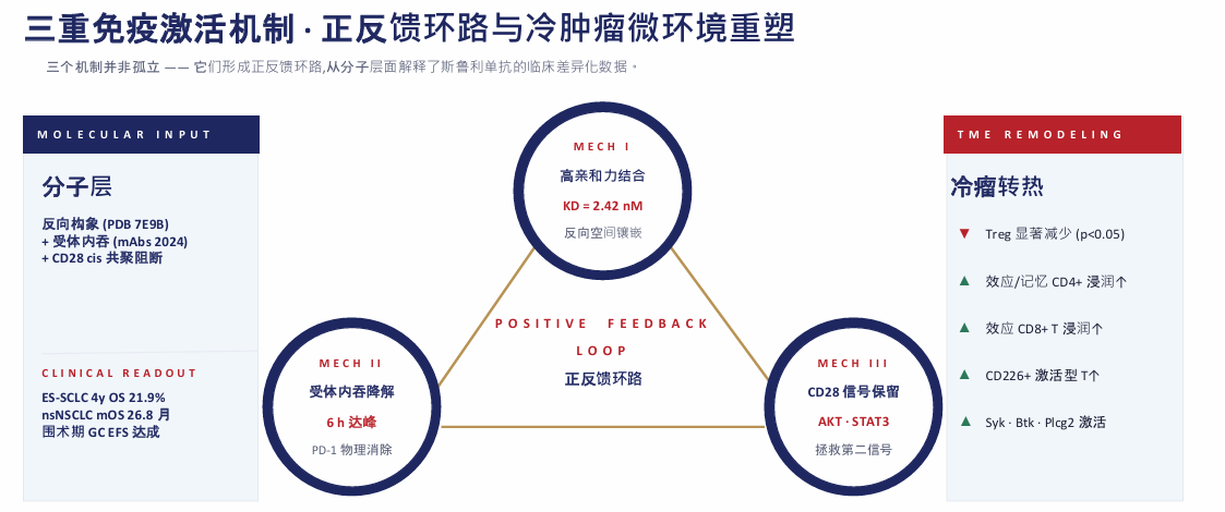 图片20.png 图片20.png