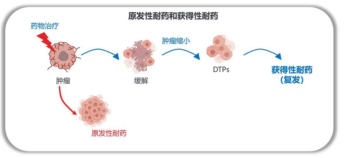 图片16.jpg