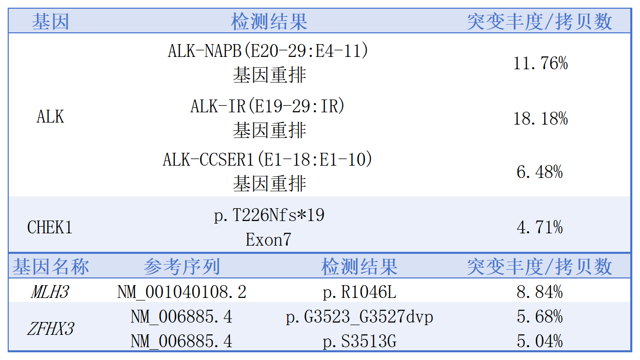 新建 XLSX 工作表_Sheet2(2).png