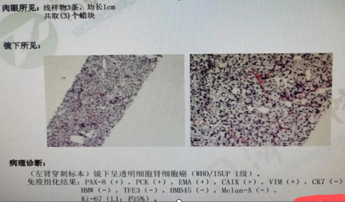 图片8.png 图片8.png