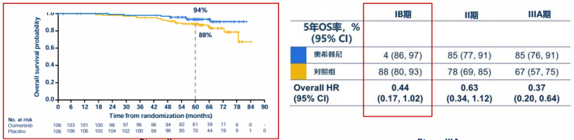 EGFR-TKI辅助治疗重塑IB期EGFR突变NSCLC诊疗范式1106(1)(1)(2)3638.png