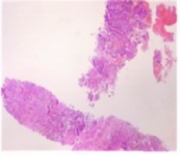 图片8.png 图片8.png