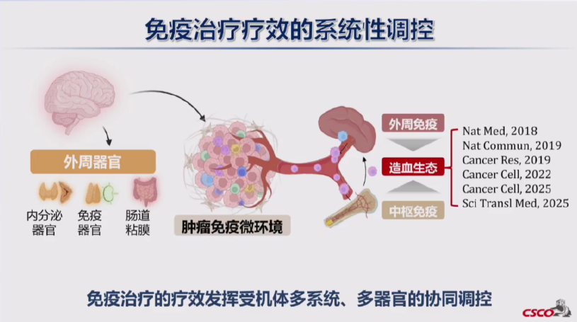 b163368b-680d-49b2-9efa-11ee330c66ba.png
