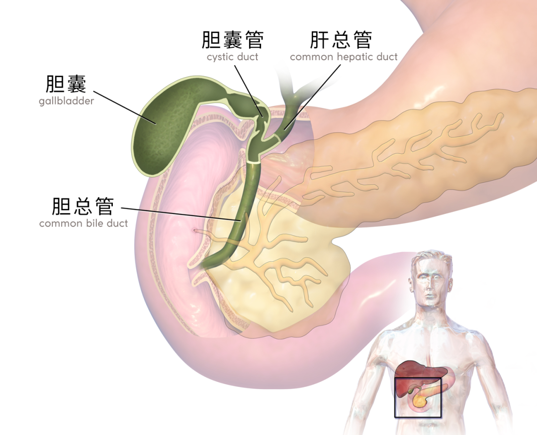 图片222222222222222222222.png