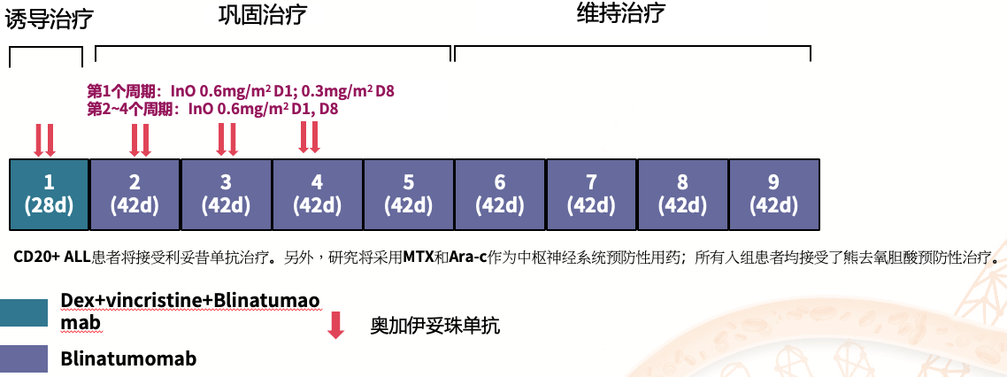 截屏2024-12-06 17.20.28.png