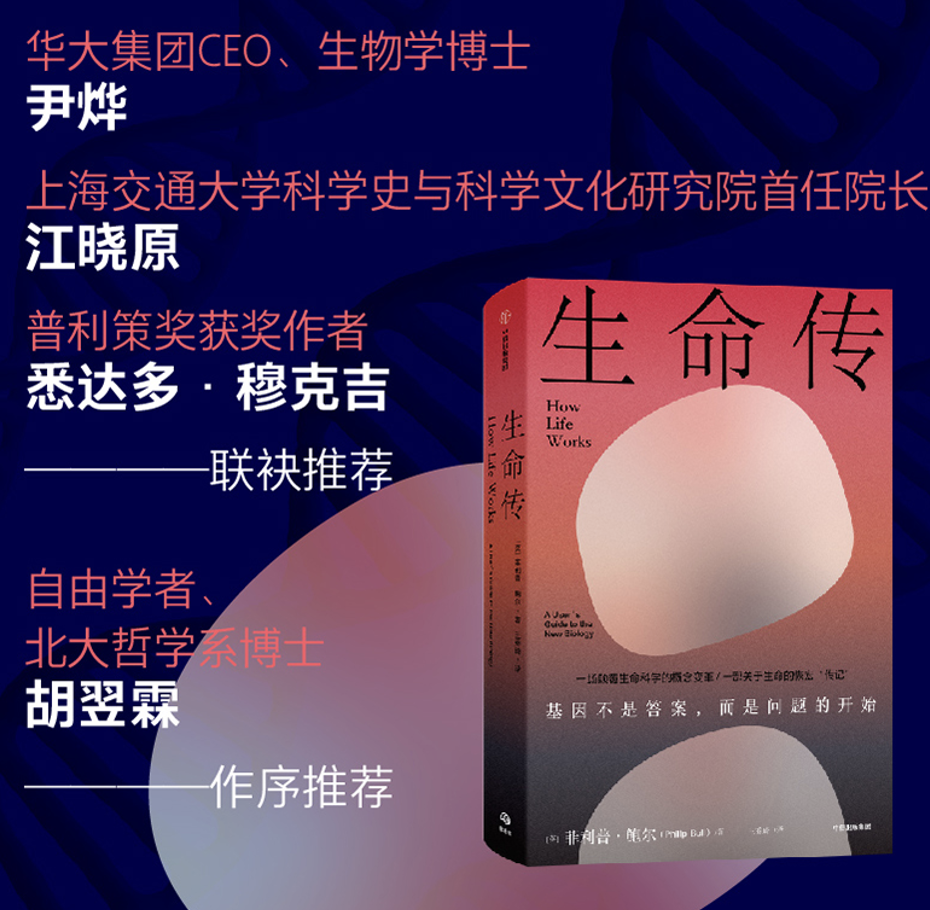 截屏2025-07-13 下午12.41.47.png