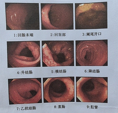 image002.gif image002.gif