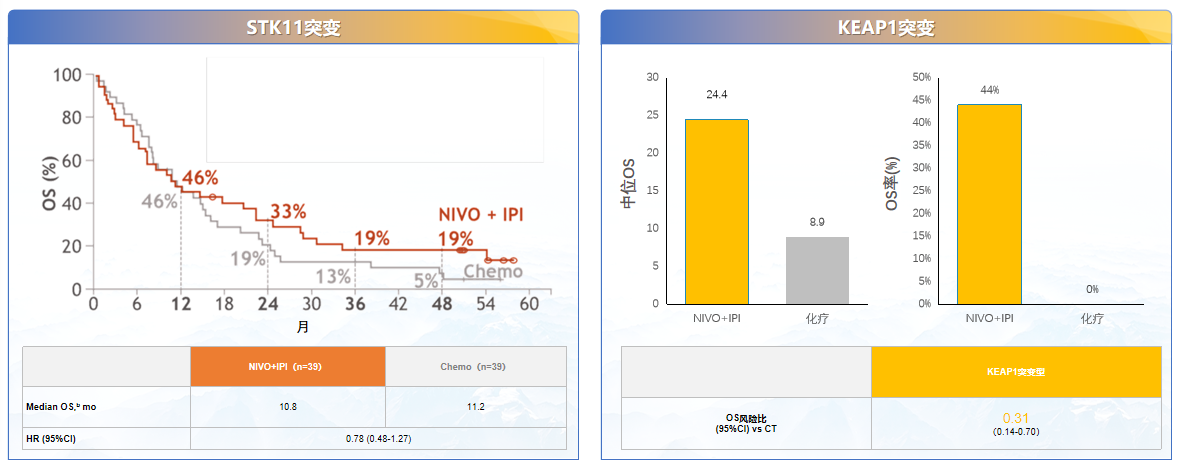 图3 CheckMate-227研究STK11突变和KEAP1突变患者的OS.png