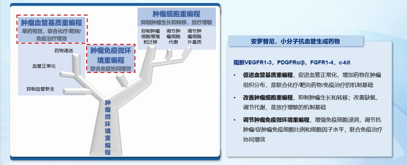 安罗替尼阻断多个靶点且可调控“肿瘤免疫微环境重编程“.png