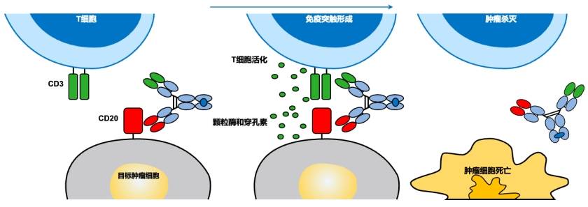 微信截图_20250625094535.png