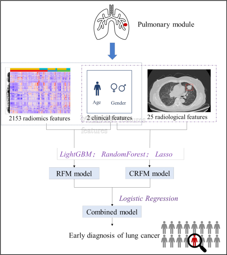 3-2023+ESMO+研究精读+基于临床和放射学特征与基于放射组学特征的CT+图像比较肺结节恶性肿瘤预测模型552.png