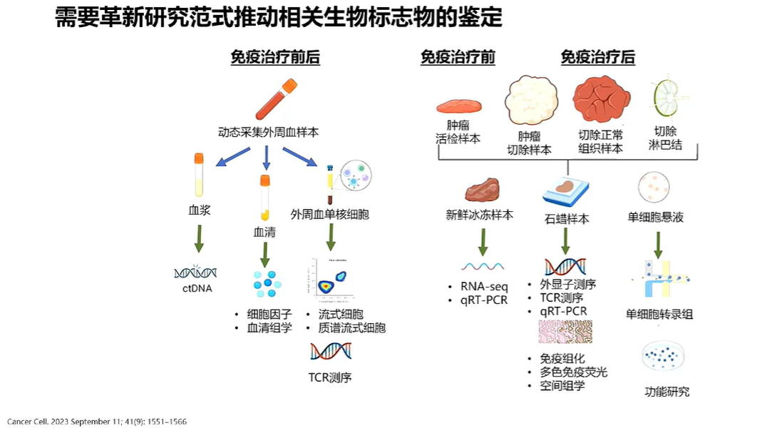 屏幕截图 2024-09-29 135016.png