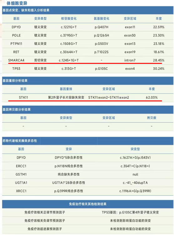 图3 NGS基因检测报告.png