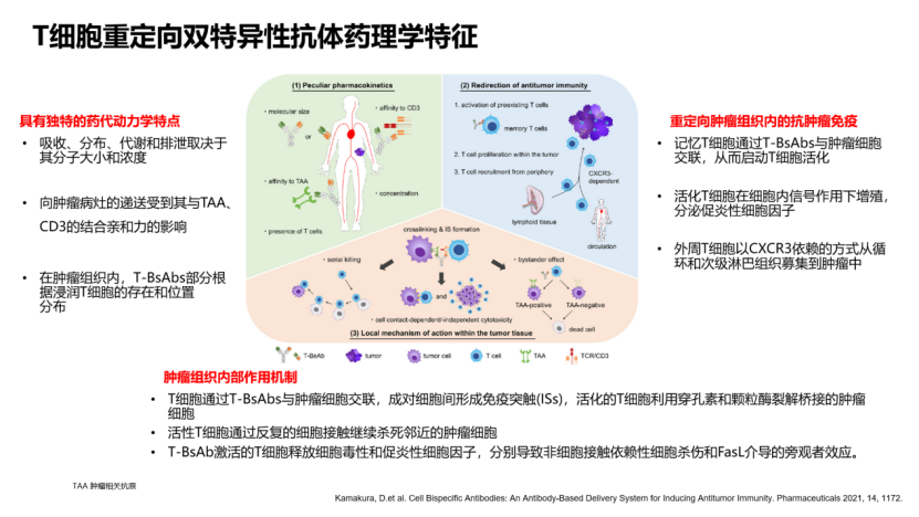 【双抗新声代 第一期】张薇教授：从分子结构和作用机制出发，深入探讨双抗如何掀起“第四次制药业革命”(2)-YY2049.png