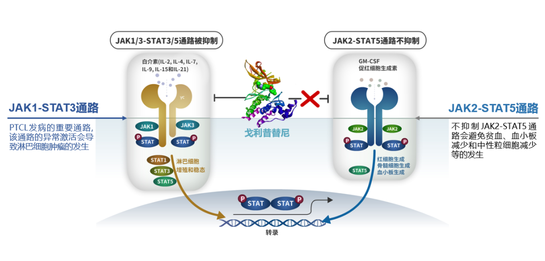 微信图片_20241220143321.png