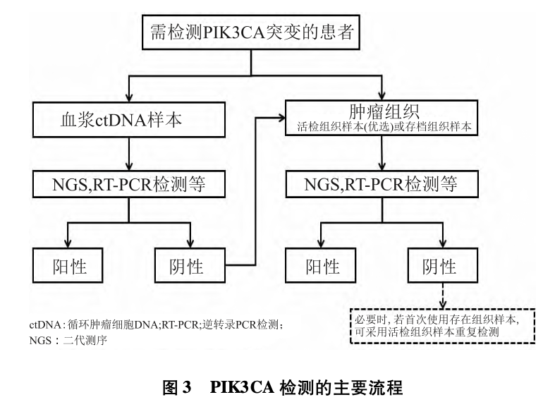 截屏2025-06-24 22.54.56.png
