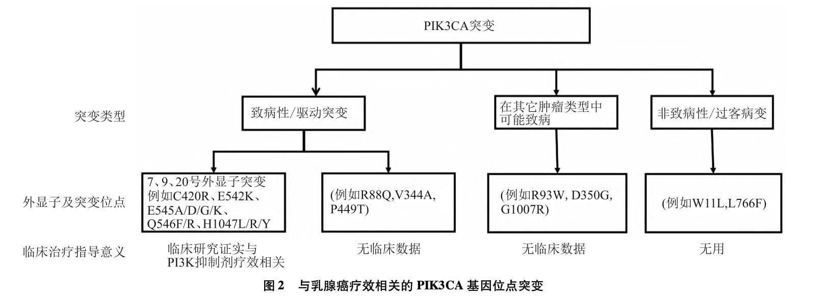截屏2025-06-24 23.23.03.png