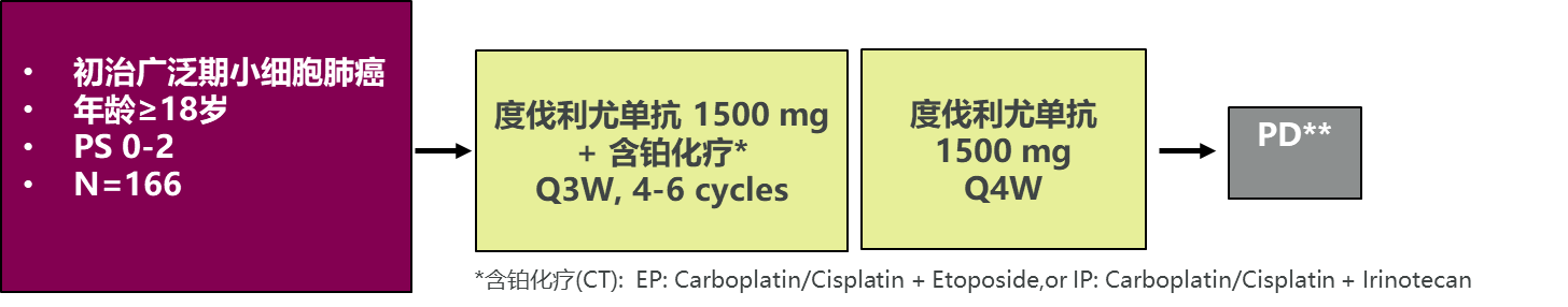 图片19.png