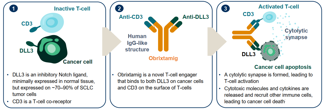 图片7.png 图片7.png