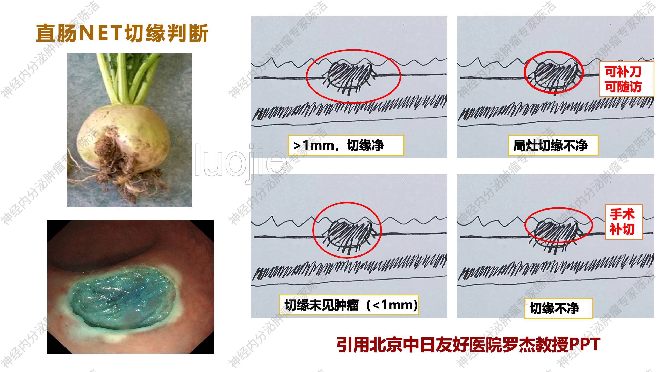 幻灯片42.jpg