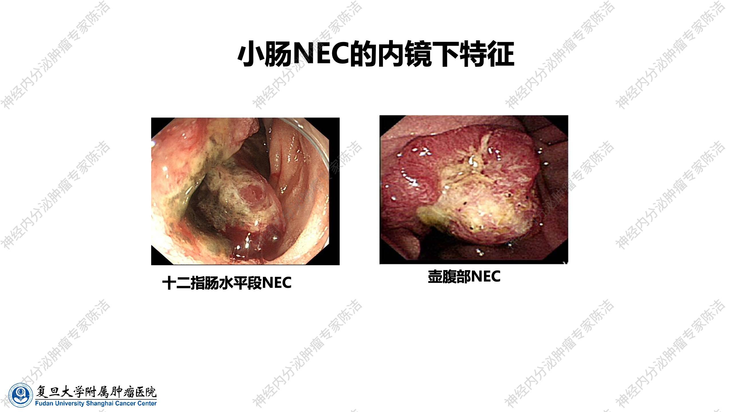 幻灯片20.jpg