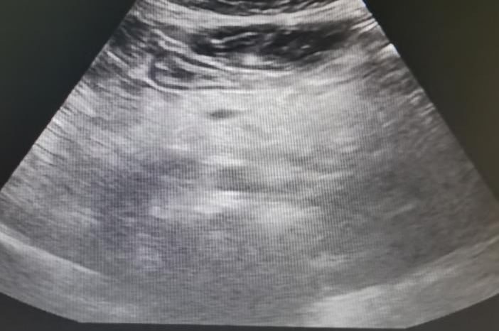 图片7.png 图片7.png