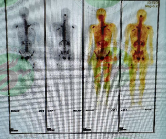 图片3.png 图片3.png