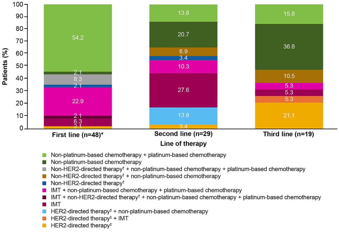 图1 HER2突变转移性NSCLC患者治疗模式分布.png